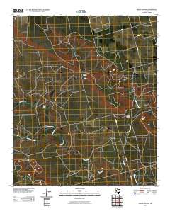 Indian Canyon 2010 topographic map thumbnail