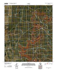Indian Canyon NE 2010 topographic map thumbnail