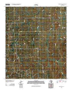 Indian Knoll 2010 topographic map thumbnail