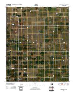 Hale Center SW 2010 topographic map thumbnail