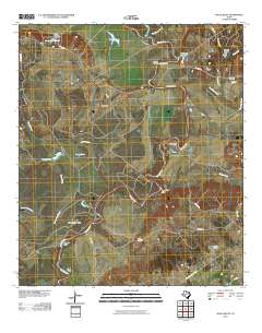 Halls Bluff 2010 topographic map thumbnail