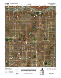 Lelia Lake Creek 2010 topographic map thumbnail