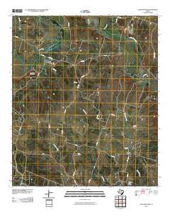 Leon Junction 2010 topographic map thumbnail