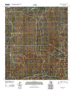 Mertzon SW 2010 topographic map thumbnail
