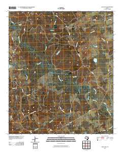 Lake Leon 2010 topographic map thumbnail
