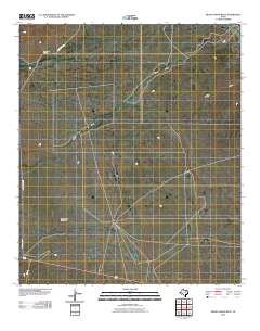 Mickey Draw West 2010 topographic map thumbnail
