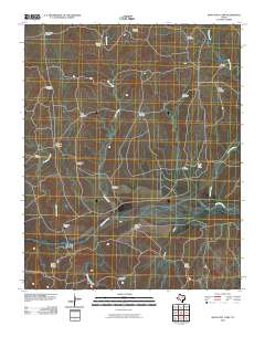 Many Post Camp 2010 topographic map thumbnail