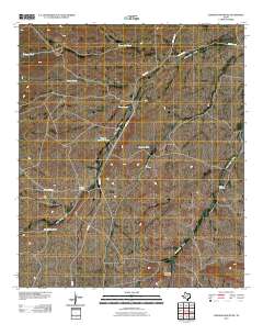 Loneman Mountain 2010 topographic map thumbnail