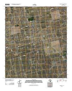 Midkiff SE 2010 topographic map thumbnail