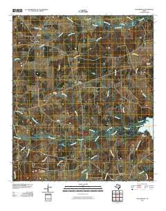 Long Branch 2010 topographic map thumbnail