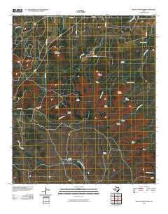 Millican Mountains 2010 topographic map thumbnail