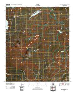 Moss Creek Lake 2010 topographic map thumbnail
