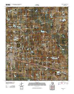 Mineola 2010 topographic map thumbnail