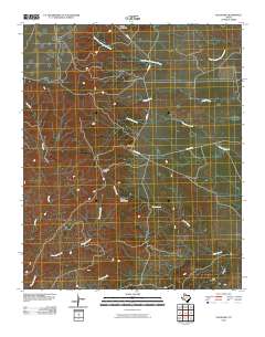 Paloduro 2010 topographic map thumbnail