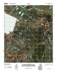 Roustabout Camp 2010 topographic map thumbnail