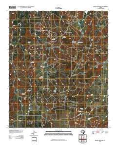 Reddy Mountain 2010 topographic map thumbnail