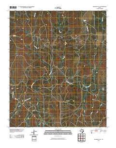 Maverick Flat 2010 topographic map thumbnail