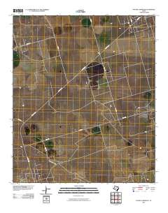 Paynes Corner SE 2010 topographic map thumbnail