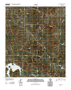 Necessity 2010 topographic map thumbnail