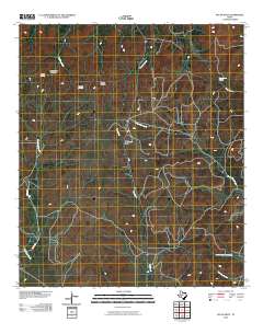 Pecan Mott 2010 topographic map thumbnail