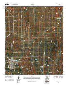 Robert Lee 2010 topographic map thumbnail