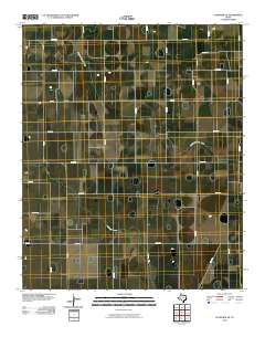 Plainview SE 2010 topographic map thumbnail