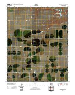 Pleasure Pond 2010 topographic map thumbnail