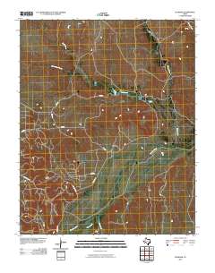 Plemons 2010 topographic map thumbnail