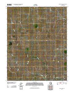 Skunk Creek 2010 topographic map thumbnail