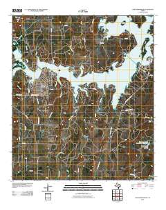 Lake Brownwood 2010 topographic map thumbnail