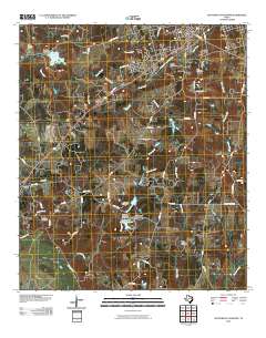 Southwest Palestine 2010 topographic map thumbnail