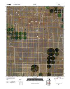 Syndicate Hills 2010 topographic map thumbnail