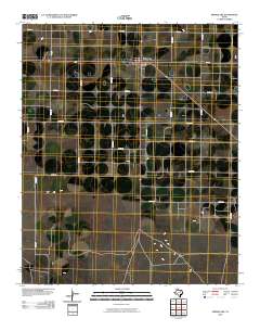 Springlake 2010 topographic map thumbnail