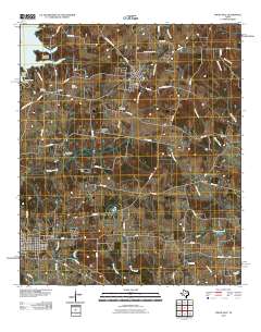 Troup East 2010 topographic map thumbnail