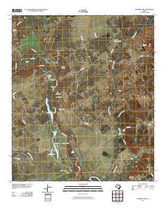 Stanmire Lake 2010 topographic map thumbnail