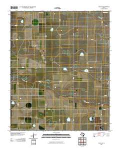 Tulia NW 2010 topographic map thumbnail