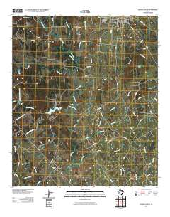 Teague South 2010 topographic map thumbnail