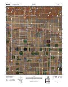 Wildorado 2010 topographic map thumbnail