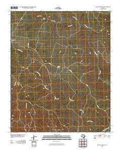 Willow Arroyo 2010 topographic map thumbnail