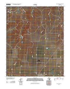 Vega North 2010 topographic map thumbnail