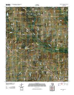 Emory North 2010 topographic map thumbnail