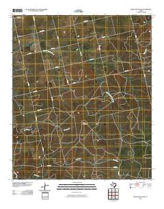 Bench Mountain 2010 topographic map thumbnail
