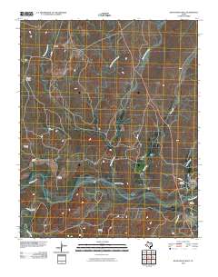 Boys Ranch West 2010 topographic map thumbnail
