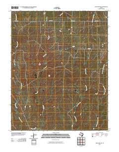 Lipscomb SW 2010 topographic map thumbnail