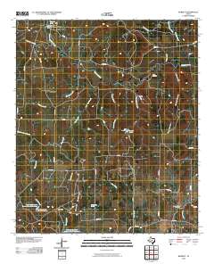 Burkett 2010 topographic map thumbnail