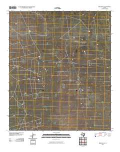 Bird Ranch 2010 topographic map thumbnail