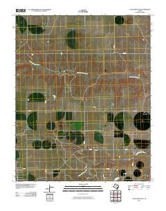 Capps Switch SE 2010 topographic map thumbnail