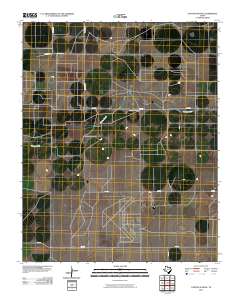 Canyon School 2010 topographic map thumbnail