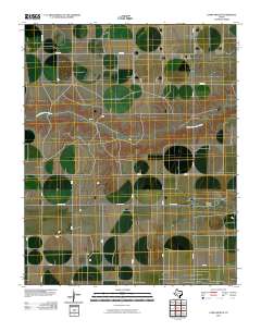 Capps Switch 2010 topographic map thumbnail