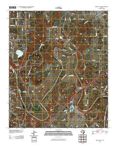 Brazos East 2010 topographic map thumbnail